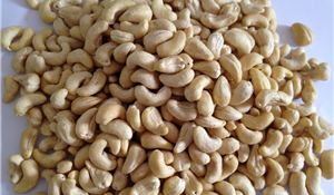 CASHEW KERNEL WW450
